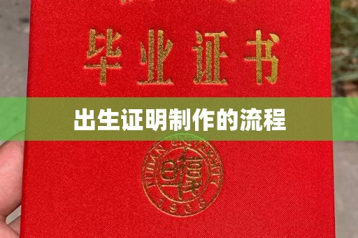 通山出生证明制作的流程