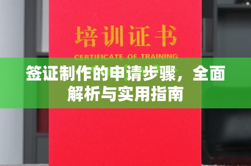 通山签证制作的申请步骤，全面解析与实用指南