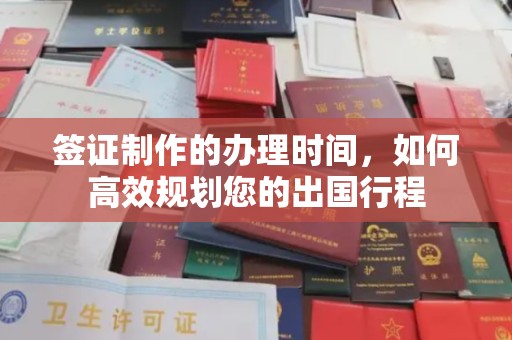 通山签证制作的办理时间，如何高效规划您的出国行程