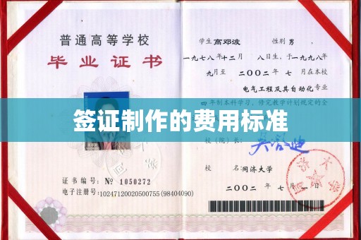 通山签证制作的费用标准