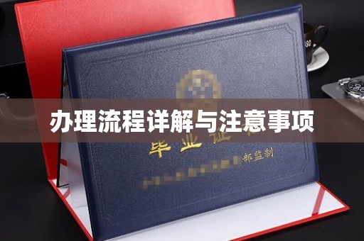 通山办理流程详解与注意事项